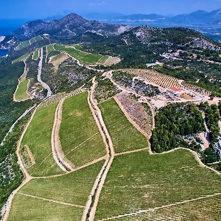 Winery Rizman Panzió 3*