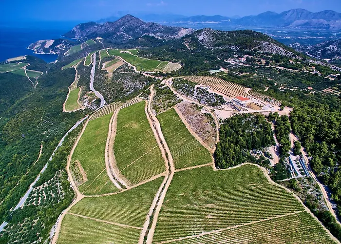 Winery Rizman Couette-café 3*